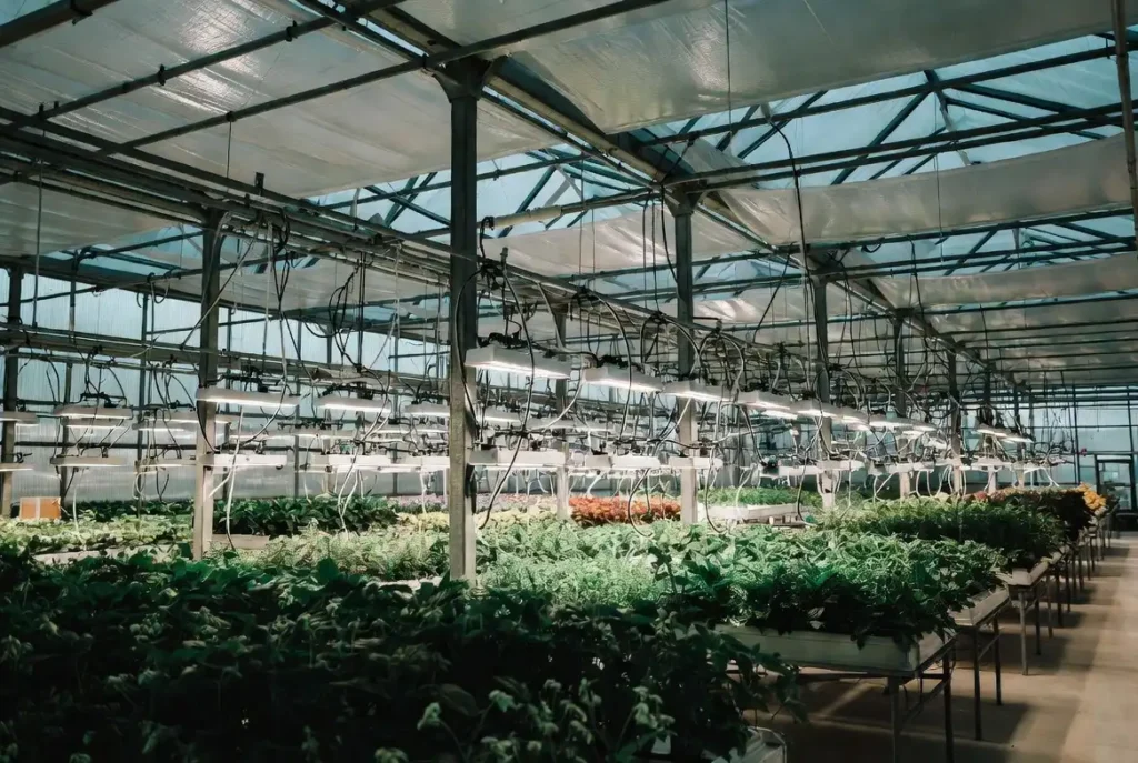 A3 small - - Level Up Solar